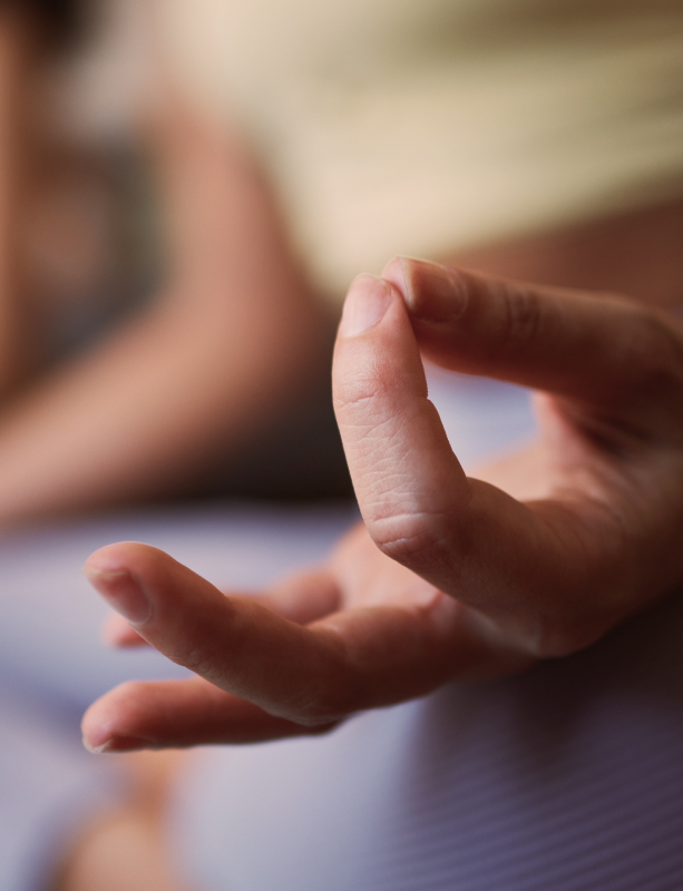 Image of a hand holding a mudra position, symbolizing the deepening spiritual journey through Yoga and Indian Philosophy.